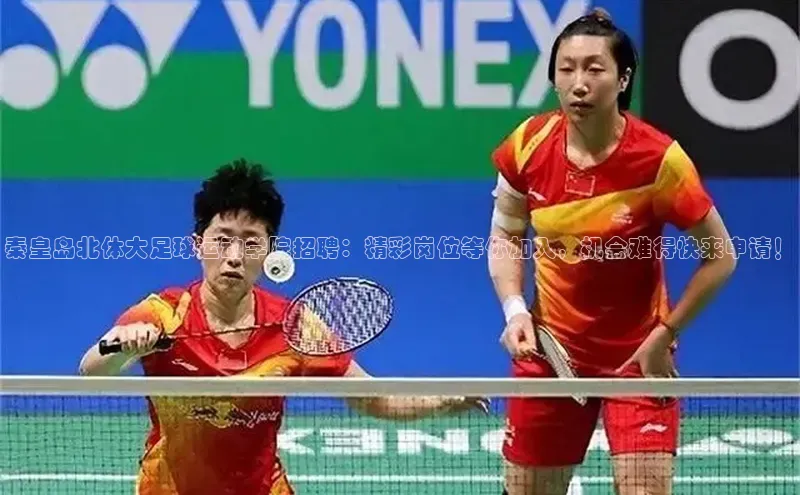 熊猫体育足球直播app度小满理财秦皇岛北体大足球运动学院招聘：精彩岗位等你加入，机会难得快来申请！