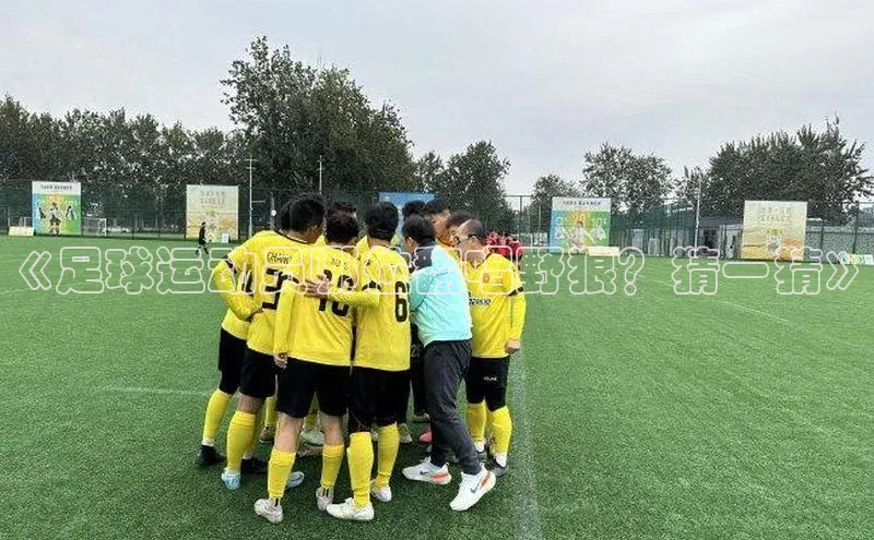 熊猫app下载百度集团《足球运动员哪位翻唱野狼？猜一猜》