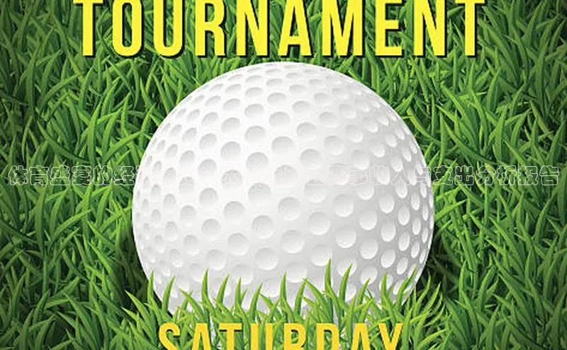 体育盛宴的经济脉络：大型运动会赛事收入与支出分析报告