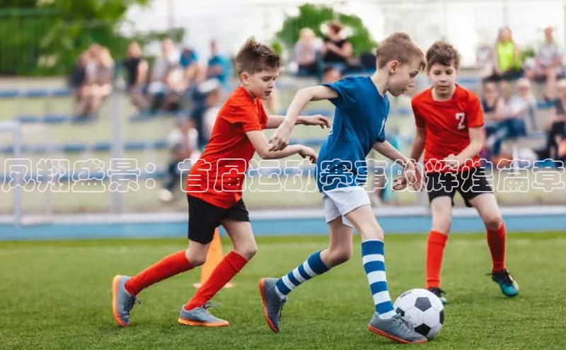 凤翔盛景：首届运动赛事的辉煌篇章