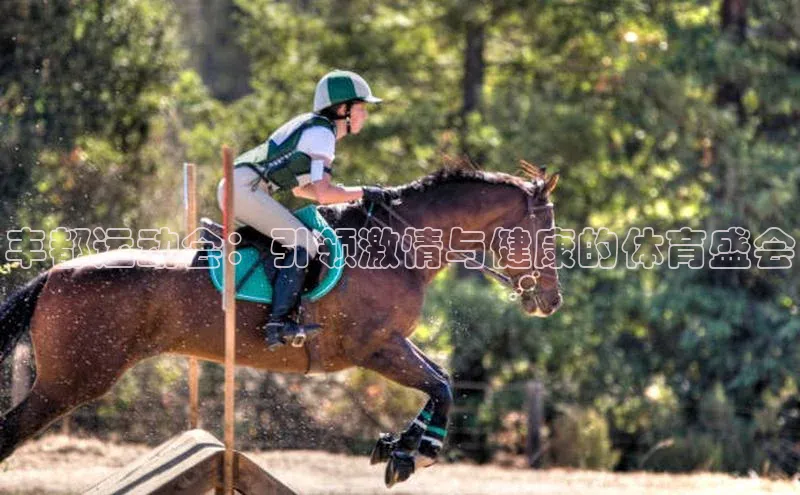 丰都运动会：引领激情与健康的体育盛会