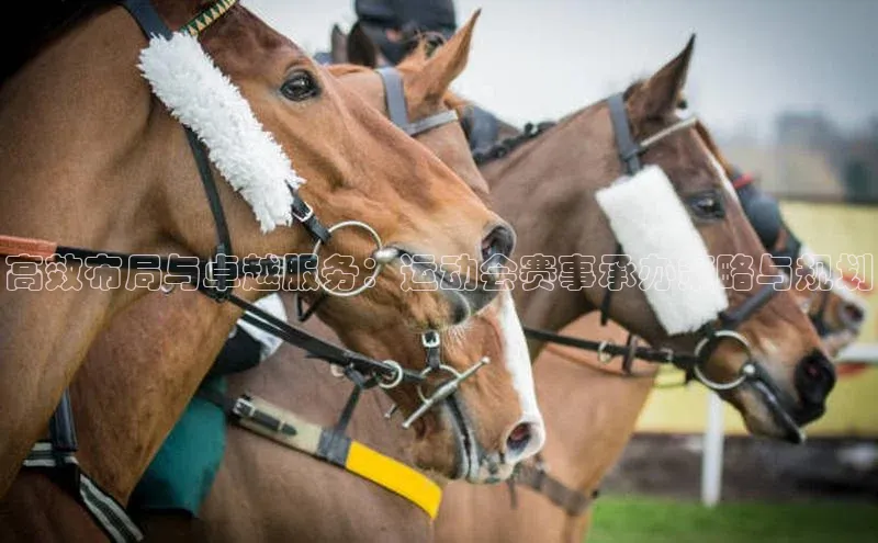 高效布局与卓越服务：运动会赛事承办策略与规划