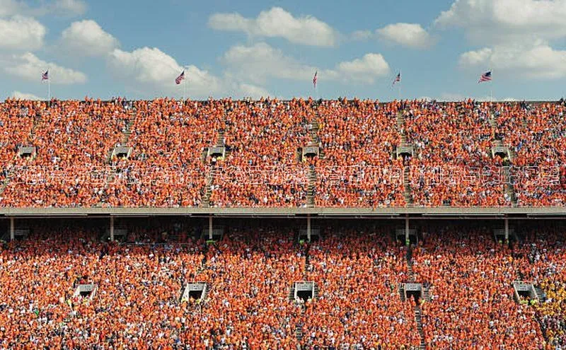 推动汽车运动的未来：汽车运动赛事管理机构的创新与策略展望