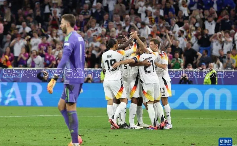 温哥华：冰雪与激情的融合——冬季运动的精彩篇章