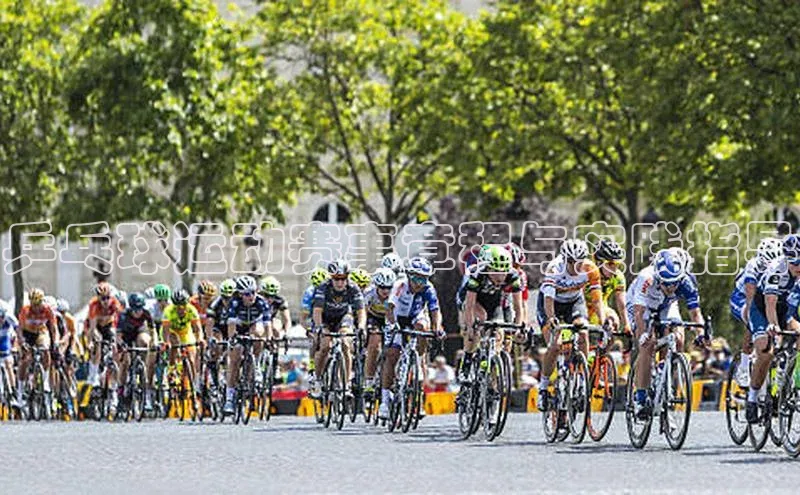 乒乓球运动赛事章程与实践指导