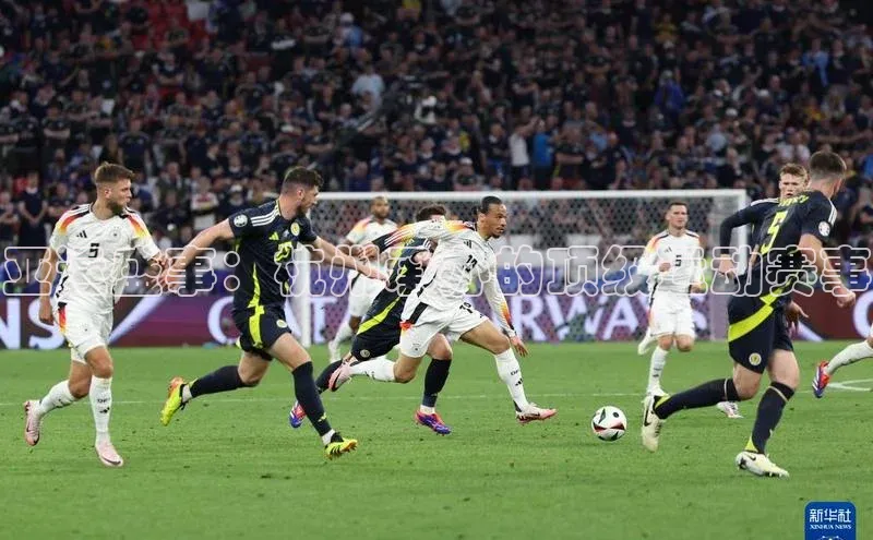 亚运盛事：杭州承办的顶级运动赛事