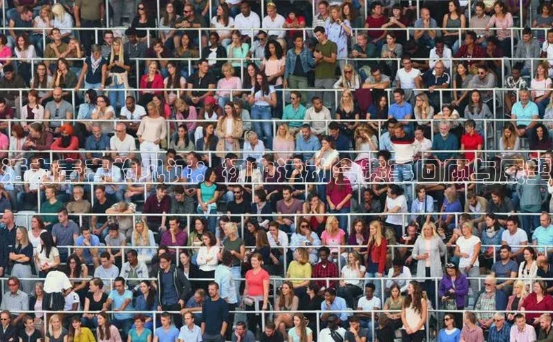 活力青春的见证：初中运动会赛事回顾与展望