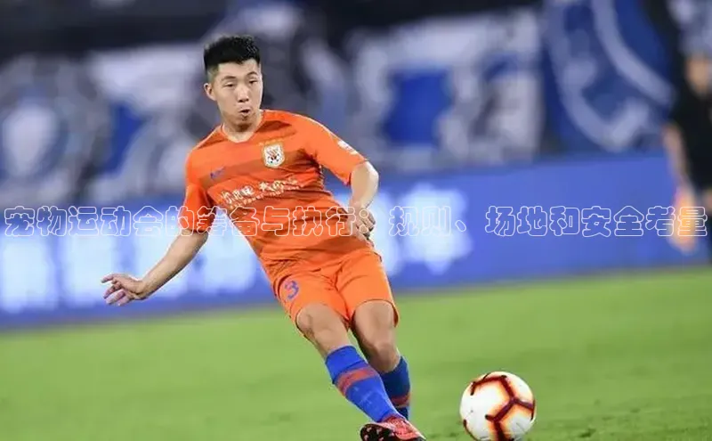 宠物运动会的筹备与执行：规则、场地和安全考量