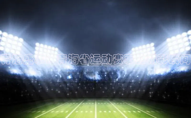 青海盛事：青海省运动赛事的精彩瞬间