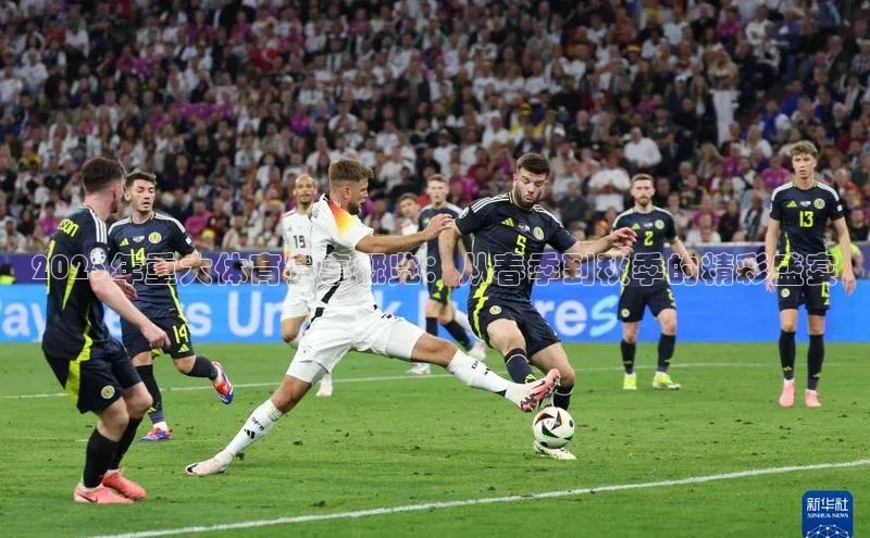 2023年重大体育赛事概览：从春季到秋季的精彩盛宴