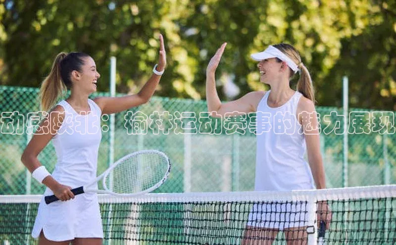 熊猫体育在线直播免费