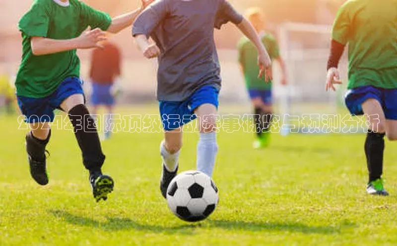 2024年国际顶级运动赛事概览与预测分析