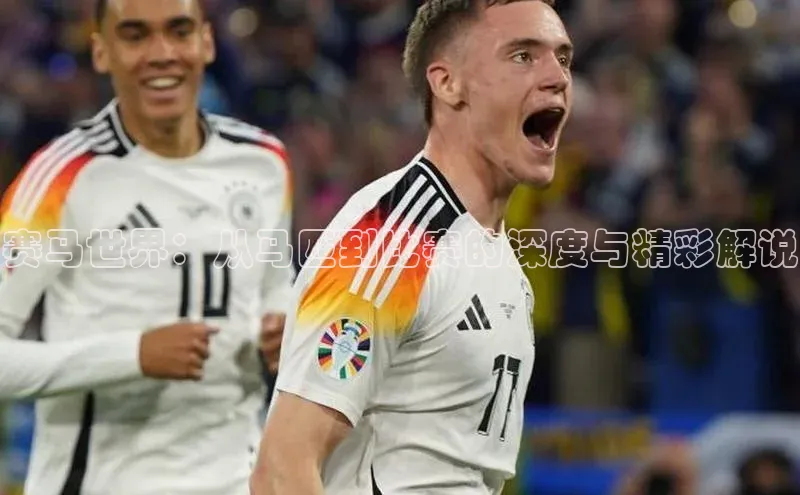 赛马世界：从马匹到比赛的深度与精彩解说