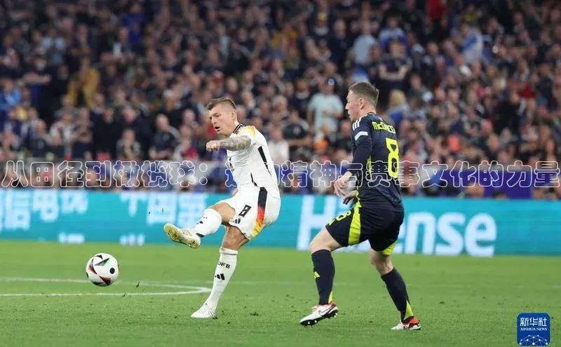 熊猫体育平台官网