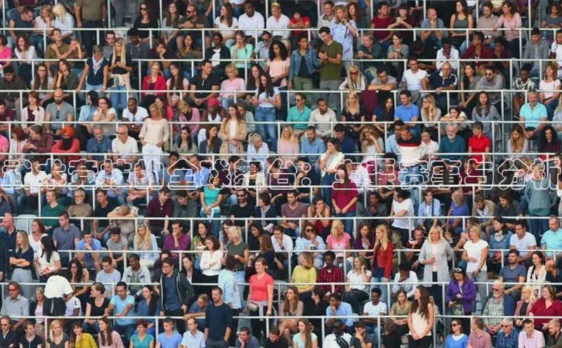 武术竞技的全球舞台：主要赛事与分析