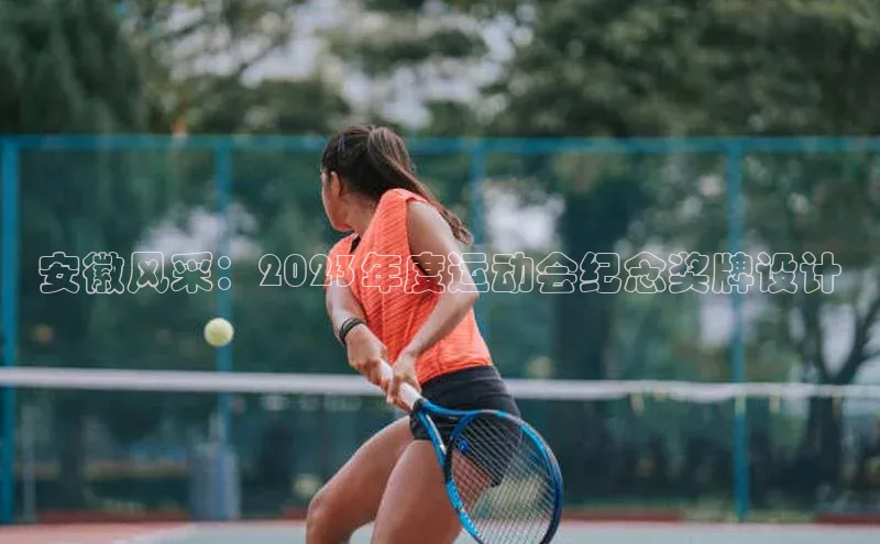 安徽风采：2023年度运动会纪念奖牌设计