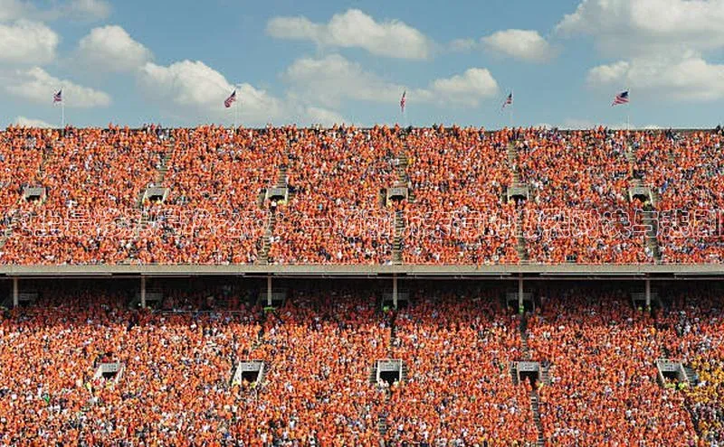 史上最惨烈足球之夜：一场前所未有的激烈对决与悲剧