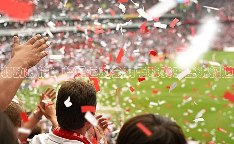 羽动激情：临夏运动会羽毛球赛事盛况报道
